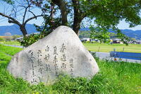 持統天皇の万葉歌　 [THI110053434]