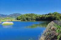 箸墓古墳と三輪山　 [THI110053444]