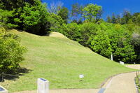 新緑のキトラ古墳　 [THI110053448]