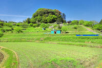 新緑の天武・持統天皇陵古墳 [THI110053450]