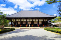 春の唐招提寺 [THI110053458]