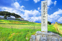 春の橘寺と聖徳太子御生誕の地の石碑 [THI110053465]