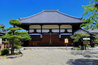 新緑の飛鳥寺 [THI110053523]