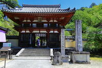 新緑の岡寺の仁王門　 [THI110053524]