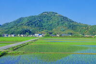 八幡山城の石垣 [THI110053525]