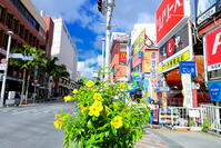 夏の国際通り　 [THI110053537]