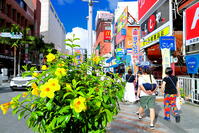 夏の国際通り　 [THI110053540]