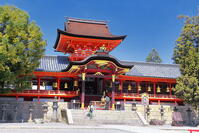 桜の咲く石清水八幡宮　 [THI110053717]