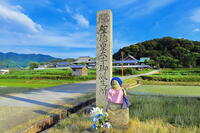 初夏の橘寺と聖徳太子御誕生所の石碑 [THI110053752]