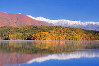 紅葉の青木湖と雪の白馬連峰　 [THI110053754]