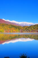 紅葉の青木湖と雪の白馬連峰　 [THI110053755]