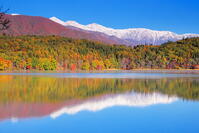 紅葉の青木湖と雪の白馬連峰　 [THI110053756]