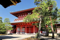 大徳寺の金毛閣 [THI110053772]