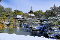 雪晴れの仁和寺の北庭 [THI110053917]