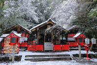 雪の野宮神社 [THI110053934]