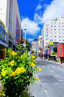 夏の国際通り [THI110053948]