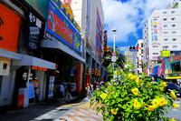 夏の国際通り [THI110053949]