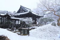 雪の高台寺 [THI110053955]