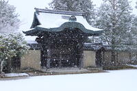 雪の高台寺 [THI110053957]