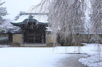 雪の高台寺 [THI110053958]
