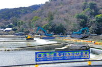 嵐山の渡月橋の上流の桂川の浚渫工事 [THI110053975]