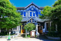 新緑の旧軽井沢銀座通り [THI110053980]