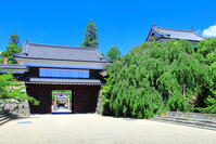 新緑の上田城跡公園 [THI110053981]