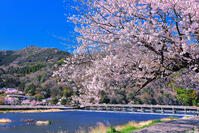 桜の咲く嵐山と渡月橋 [THI110054132]