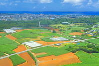 宮古島の赤土の土地とサトウキビ畑 [THI110054173]