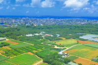 宮古島の赤土の土地とサトウキビ畑 [THI110054175]