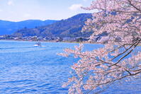 海津大崎のサクラ並木とびわ湖 [THI110054193]