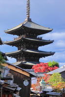 秋の八坂の塔 [THI110054213]