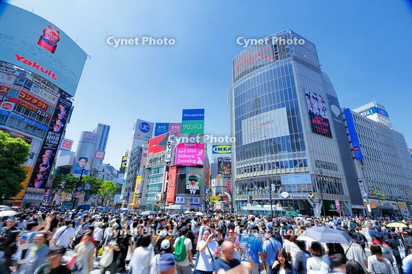 新緑の渋谷のスクランブル交差点 [THI110053103]
