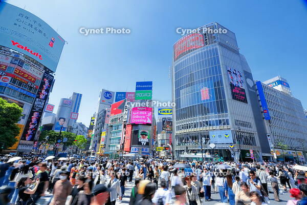 新緑の渋谷のスクランブル交差点 [THI110053104]