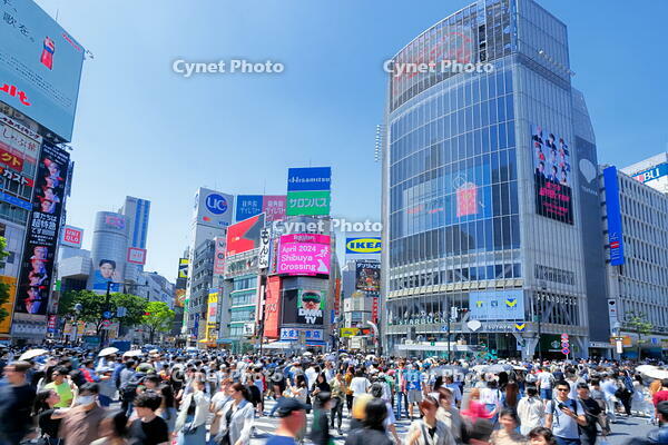 新緑の渋谷のスクランブル交差点 [THI110053105]