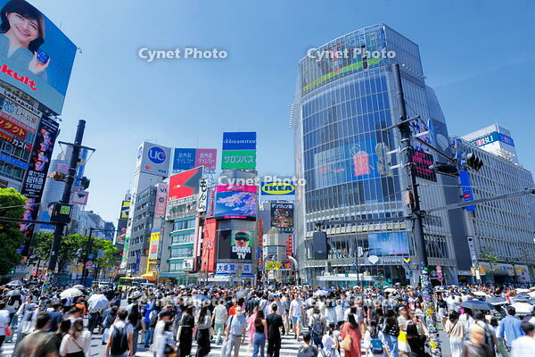新緑の渋谷のスクランブル交差点 [THI110053107]