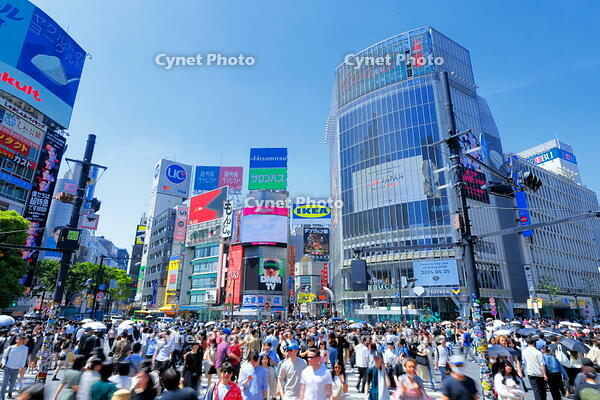 新緑の渋谷のスクランブル交差点 [THI110053108]