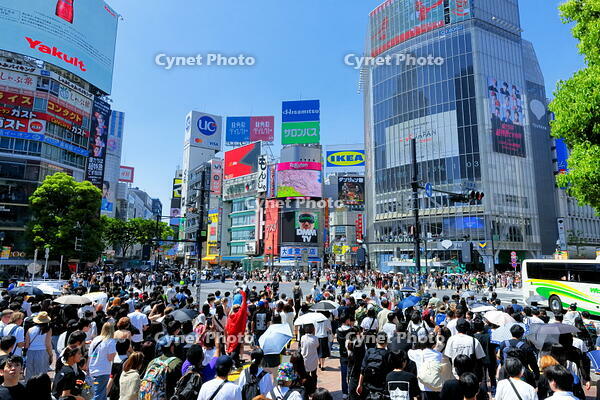 新緑の渋谷のスクランブル交差点 [THI110053110]