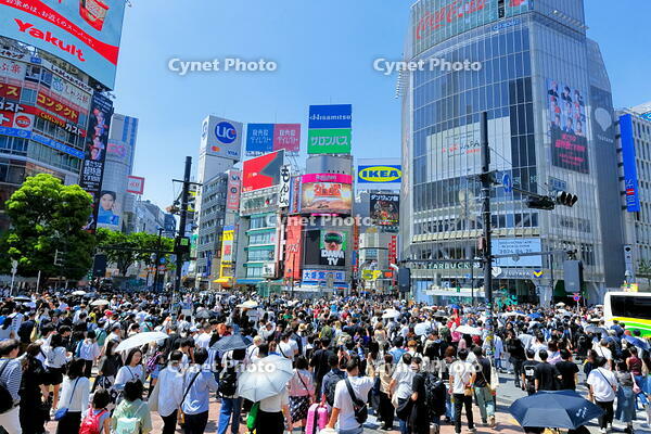 新緑の渋谷のスクランブル交差点 [THI110053111]