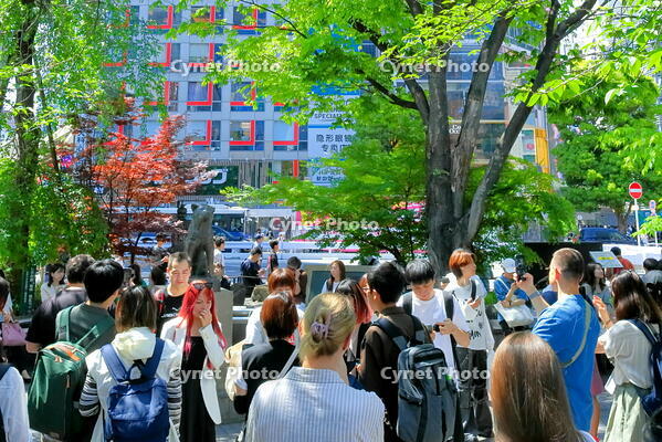 渋谷駅前の忠犬ハチ公像前のにぎわい　 [THI110053112]