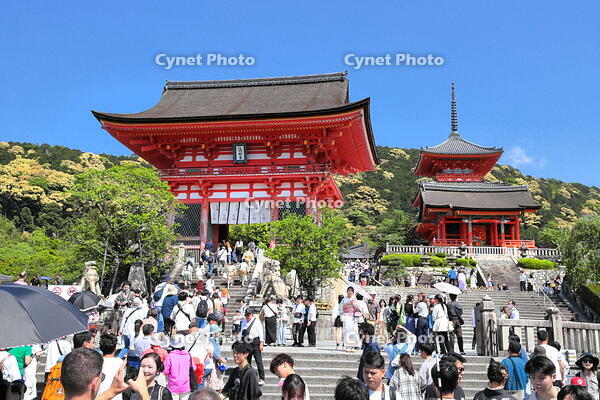 清水寺の仁王門前の参拝客 [THI110053162]