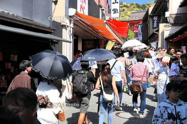 清水寺の参道のにぎわい [THI110053166]