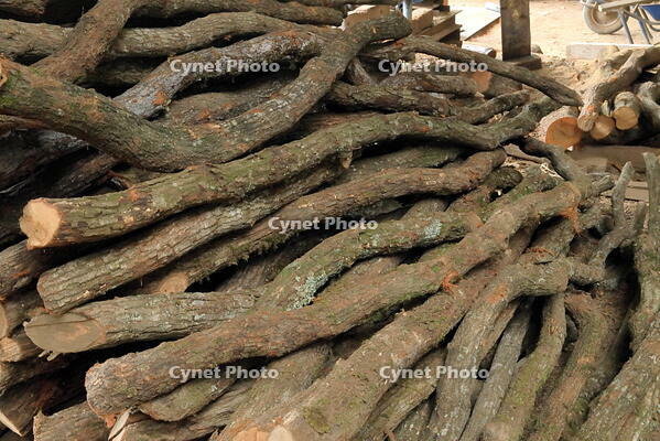 紀州備長炭の炭窯と紀州備長炭 [THI110053277]