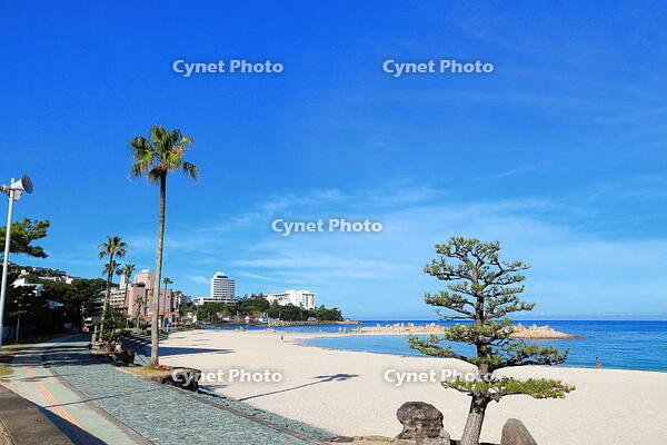 朝の白良浜海岸と白浜温泉街　 [THI110053291]