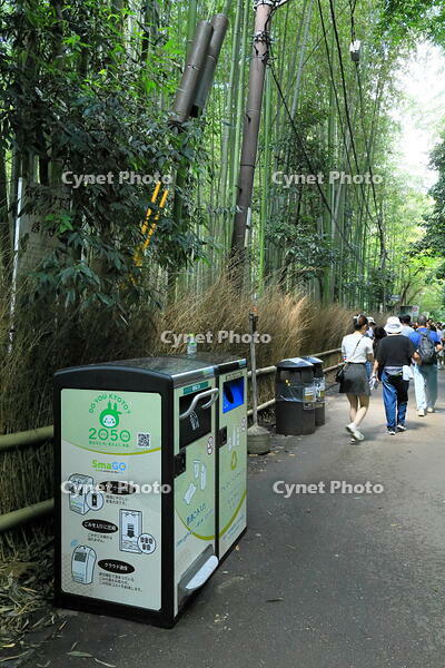 嵐山の竹林のスマートごみ箱 [THI110053308]