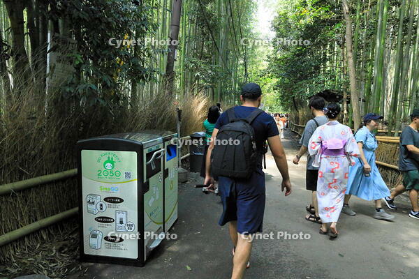 嵐山の竹林のスマートごみ箱 [THI110053322]