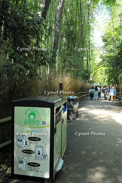 嵐山の竹林のスマートごみ箱 [THI110053326]