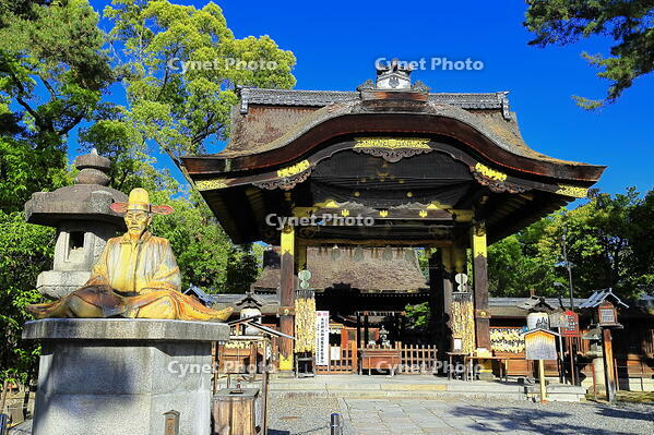 新緑の豊国神社 [THI110053344]