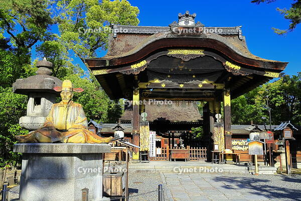 新緑の豊国神社 [THI110053345]