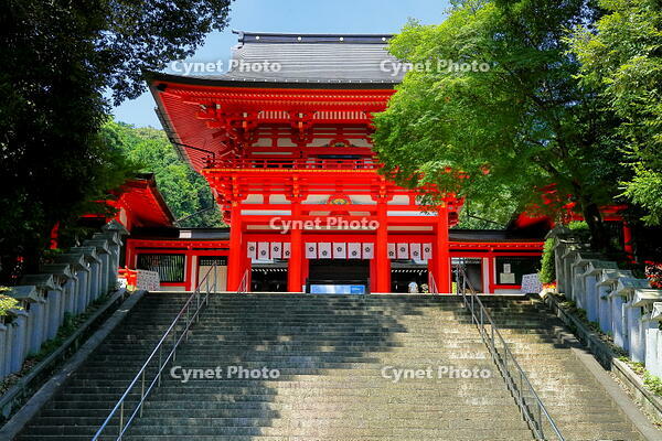 近江神宮 [THI110053347]